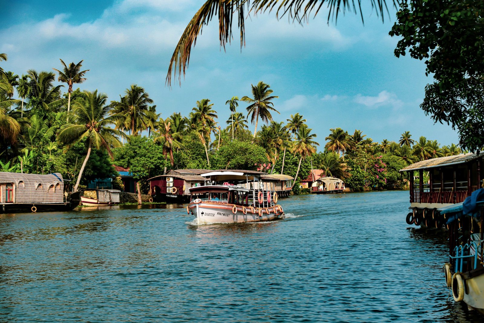Kerala backwater boat with coconut trees