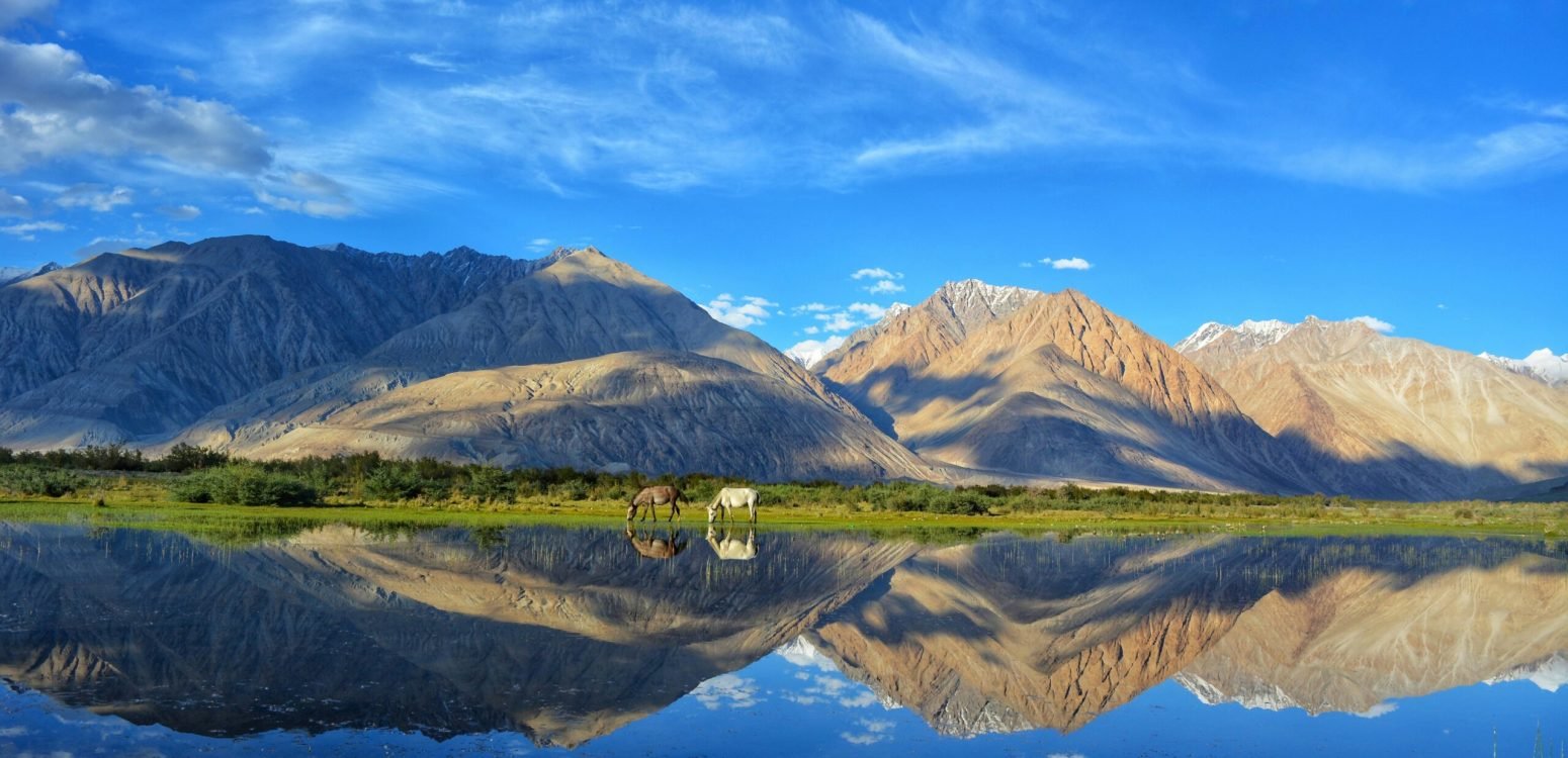 image includes beautifull lake and animals